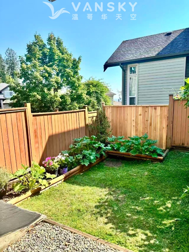 260826230103_Janet backyard 1.jpg